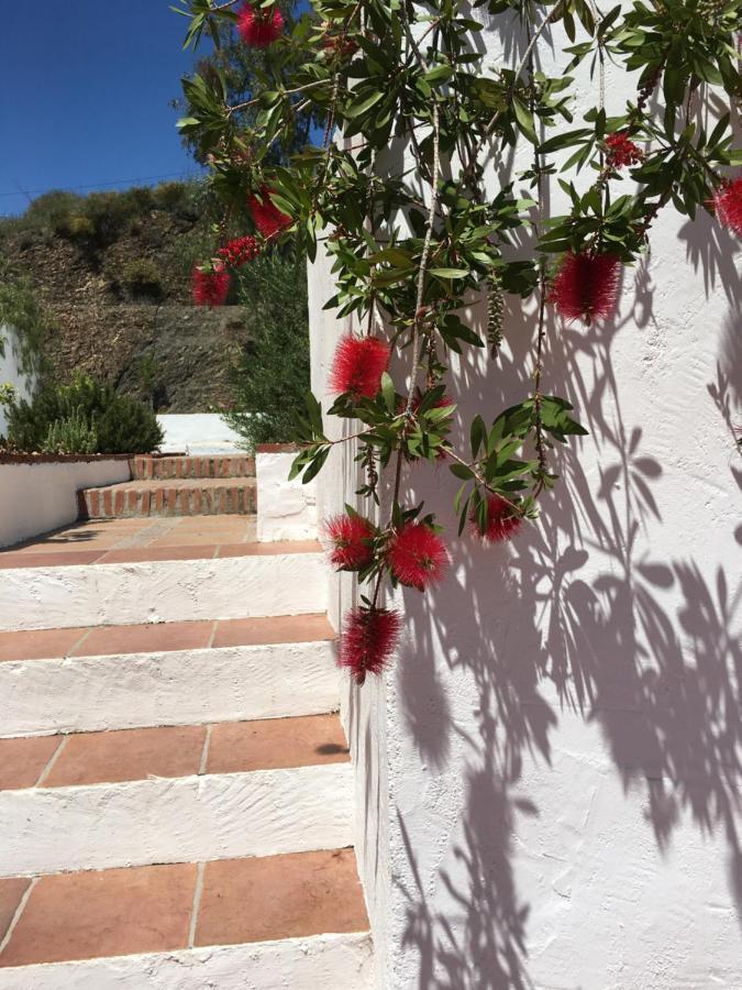 B&B And Apartments Cortijo La Zapatera Canillas de Aceituno Exteriér fotografie