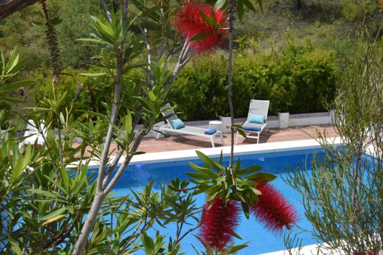 B&B And Apartments Cortijo La Zapatera Canillas de Aceituno Exteriér fotografie