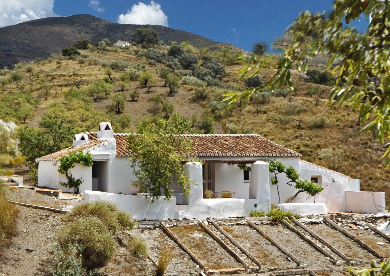 B&B And Apartments Cortijo La Zapatera Canillas de Aceituno Exteriér fotografie